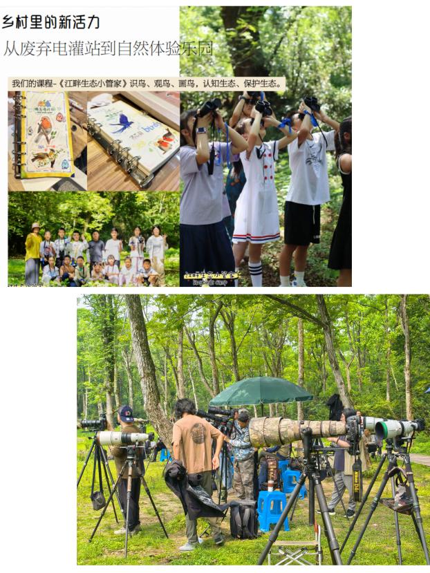 8000萬熱度炸屏！屯溪“護村小祖宗”聯(lián)動短劇頂級頭部平臺帶火綬帶鳥，短劇+文旅解鎖鄉(xiāng)村振興新密碼