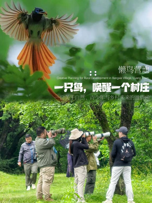 8000萬熱度炸屏！屯溪“護村小祖宗”聯(lián)動短劇頂級頭部平臺帶火綬帶鳥，短劇+文旅解鎖鄉(xiāng)村振興新密碼